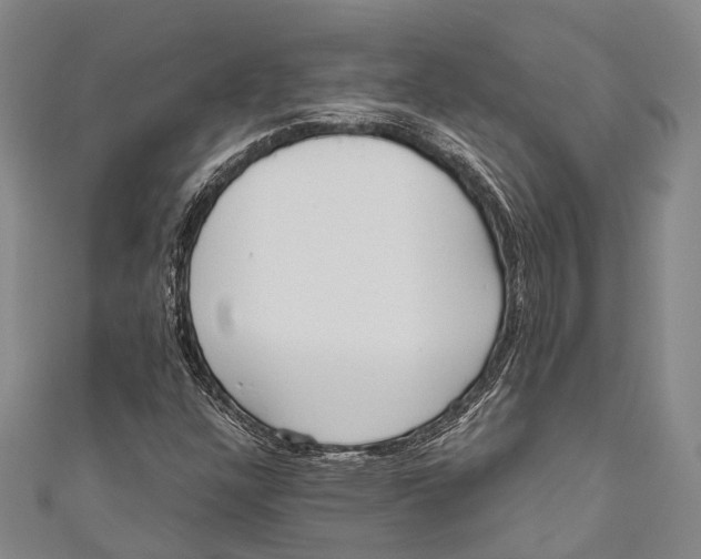 X0000110981304200907101401