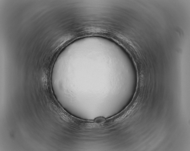 X0000110981305200907101401