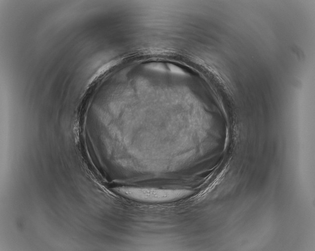 X0000110981306200907101401