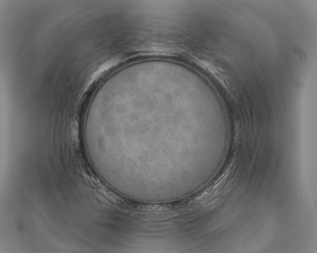 X0000110981307200907101401