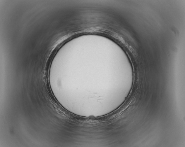 X0000110981308200907101401