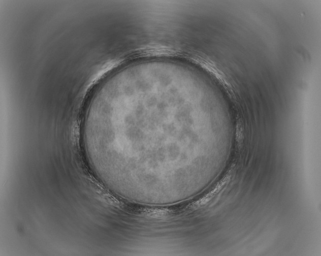 X0000110981309200907101401