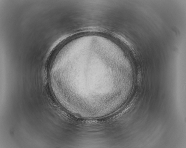 X0000110981310200907101401