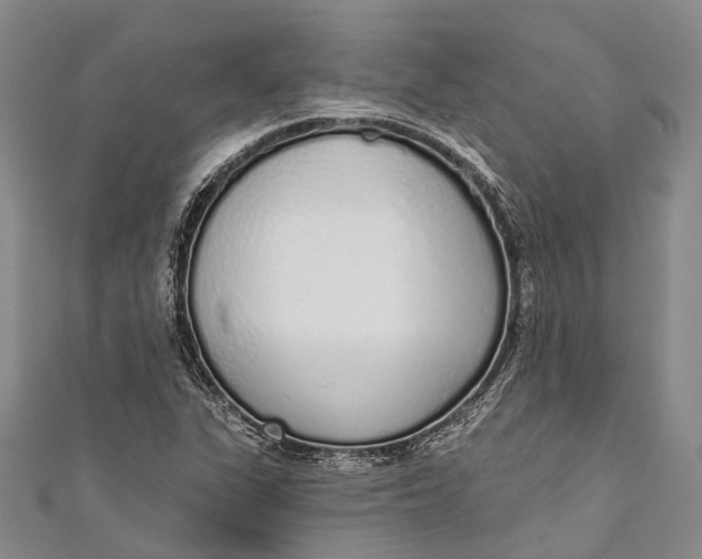 X0000110981311200907101401