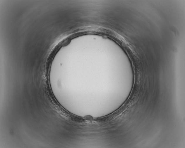 X0000110981312200907101401