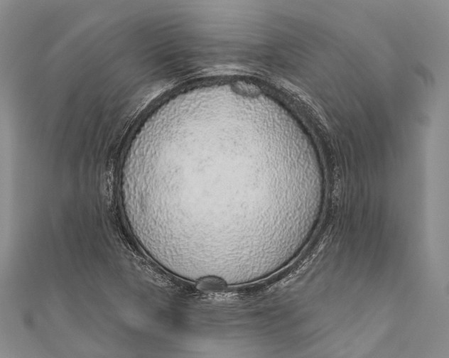 X0000110981313200907101401