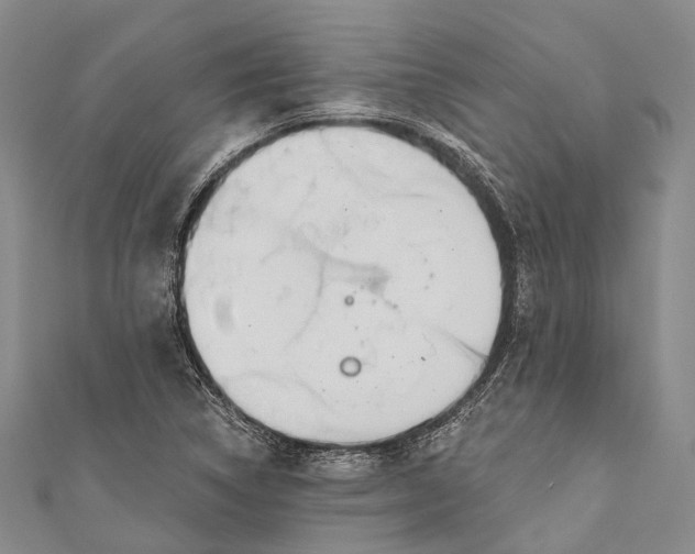 X0000110981314200907101401