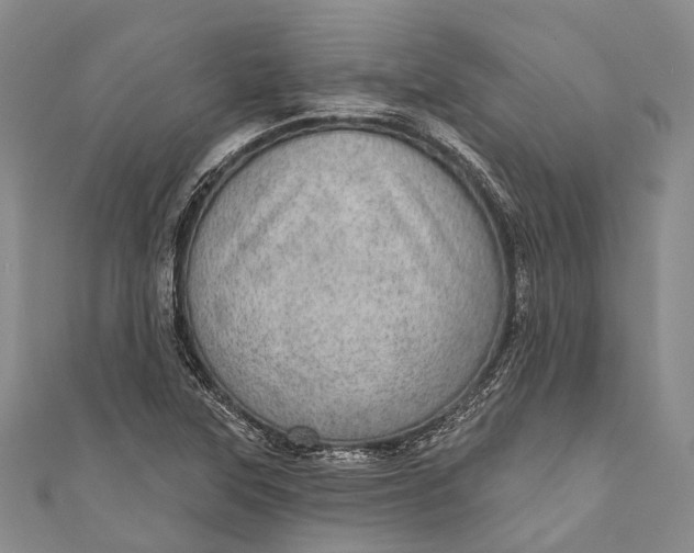 X0000110981315200907101401