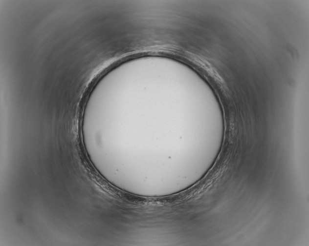 X0000110981316200907101401