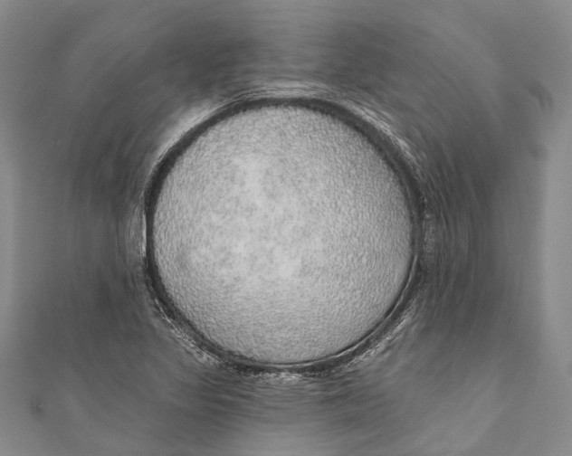 X0000110981317200907101401