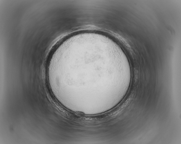 X0000110981318200907101401