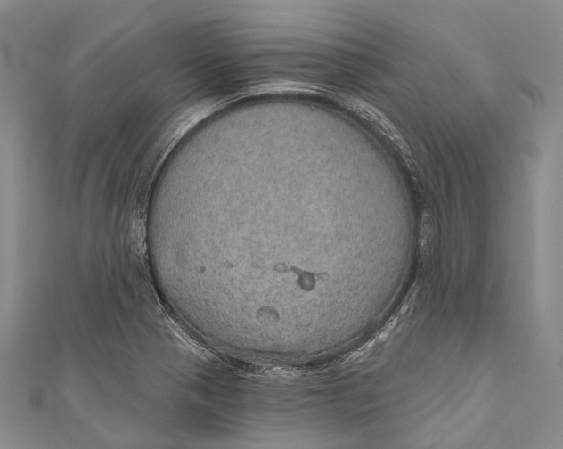 X0000110981321200907101401