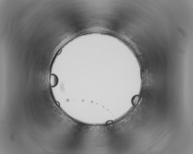 X0000110981322200907101401