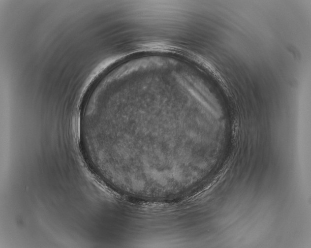 X0000110981323200907101401