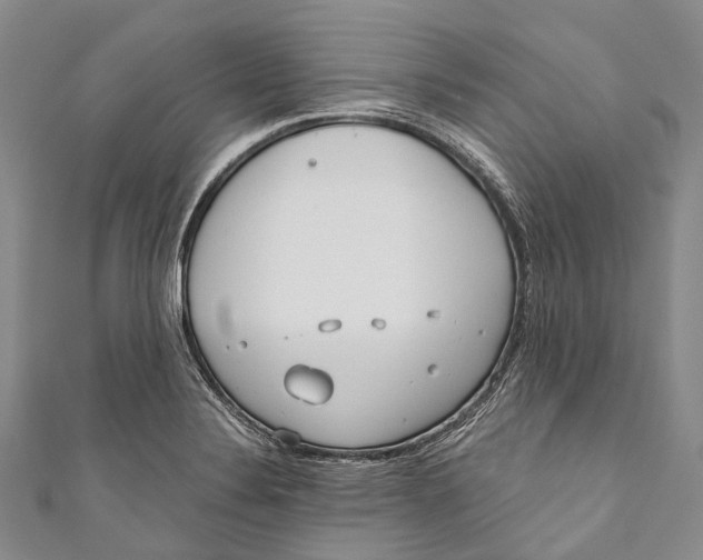 X0000110981324200907101401