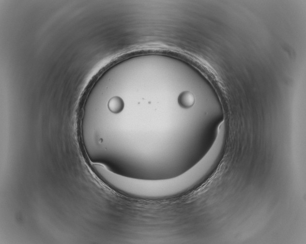 X0000110981326200907101401