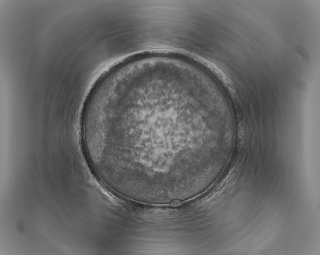 X0000110981327200907101401