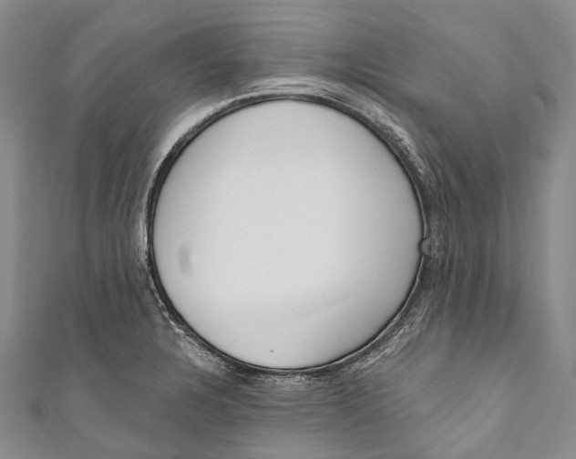 X0000110981328200907101401