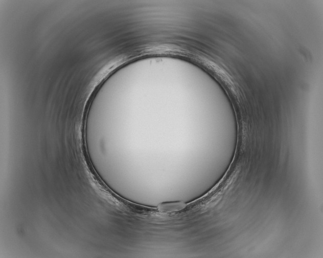 X0000110981330200907101401