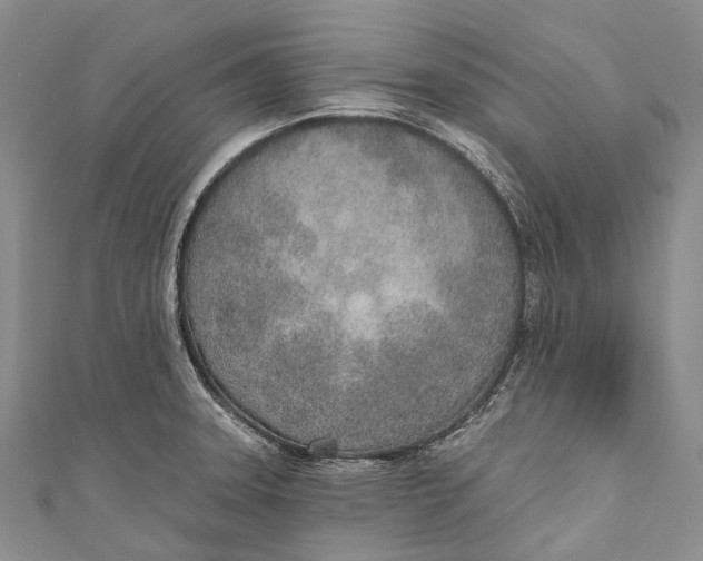 X0000110981331200907101401