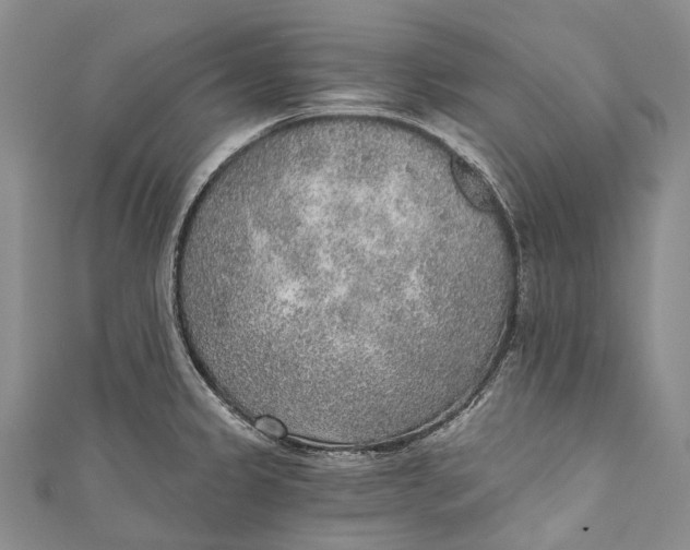 X0000110981333200907101401