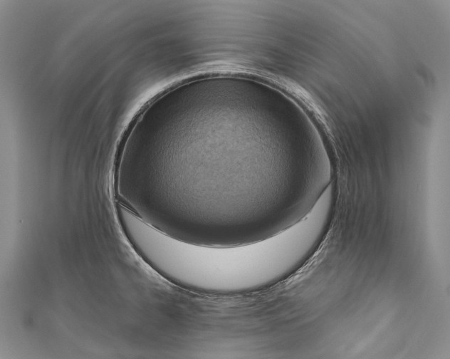 X0000110981334200907101401