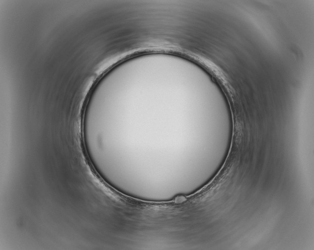 X0000110981335200907101401