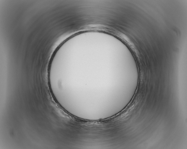 X0000110981336200907101401