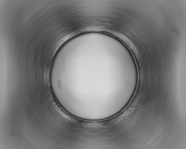 X0000110981337200907101402