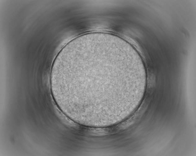 X0000110981338200907101402