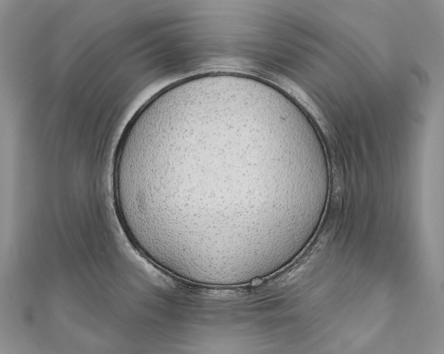 X0000110981339200907101402