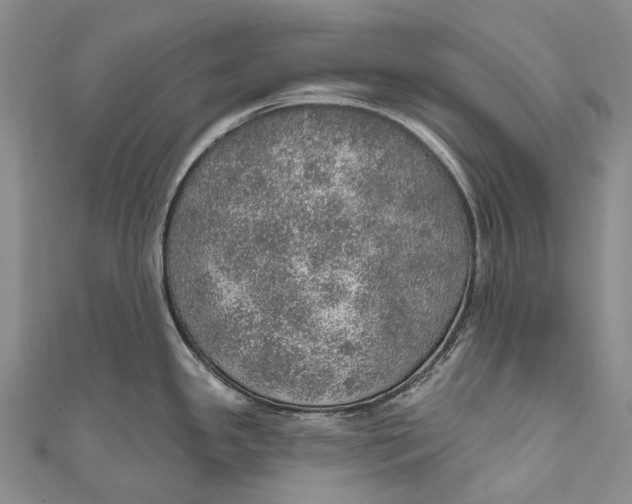 X0000110981341200907101402