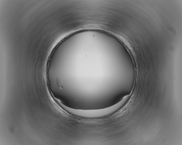 X0000110981342200907101402