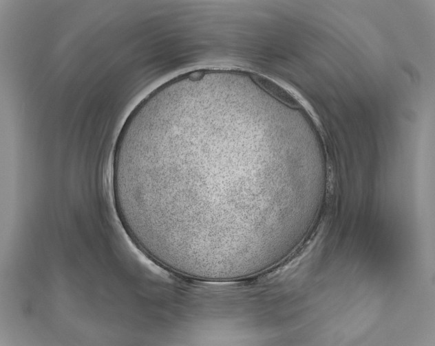 X0000110981343200907101402