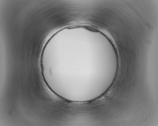 X0000110981344200907101402