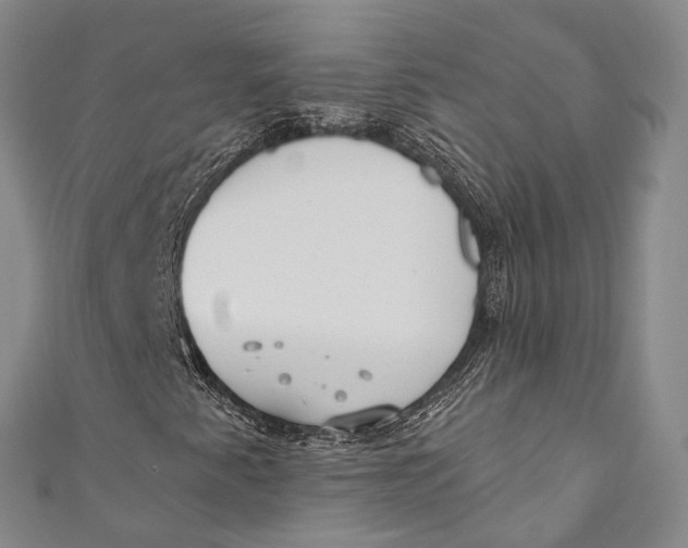 X0000110981345200907101401