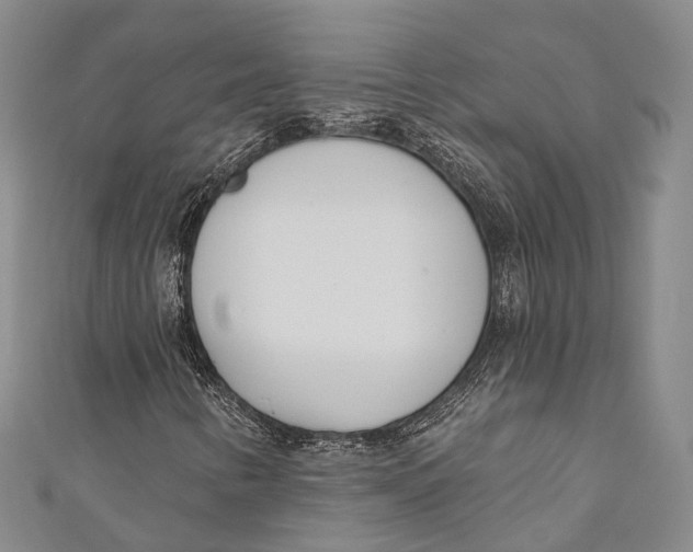 X0000110981346200907101401