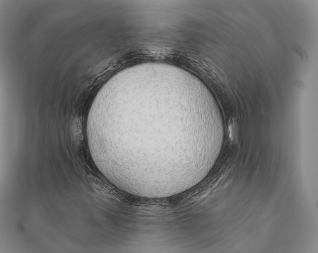 X0000110981347200907101401