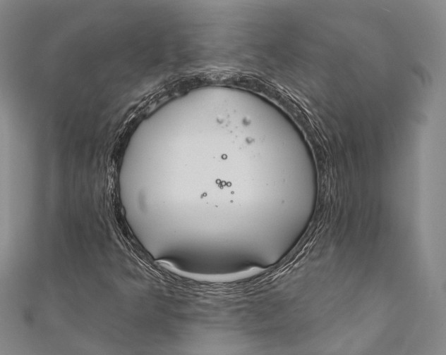 X0000110981349200907101401