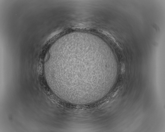 X0000110981350200907101401