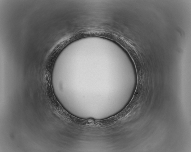 X0000110981351200907101401