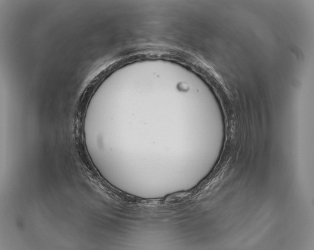 X0000110981352200907101401