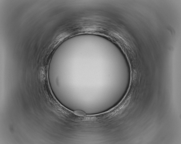 X0000110981353200907101401