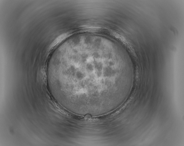 X0000110981354200907101401