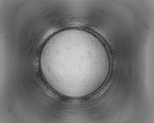 X0000110981355200907101401