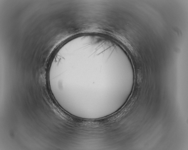 X0000110981356200907101401