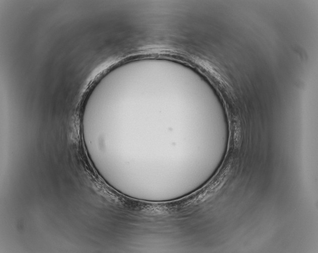 X0000110981358200907101401