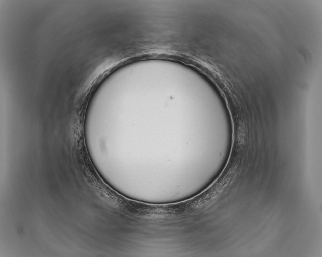 X0000110981359200907101401