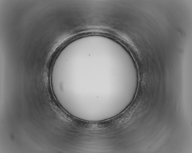 X0000110981360200907101401