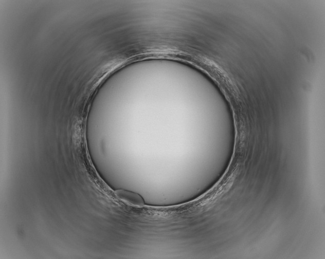 X0000110981361200907101401